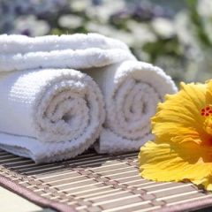 ABSORBEDOR OLORES AIR FRESH